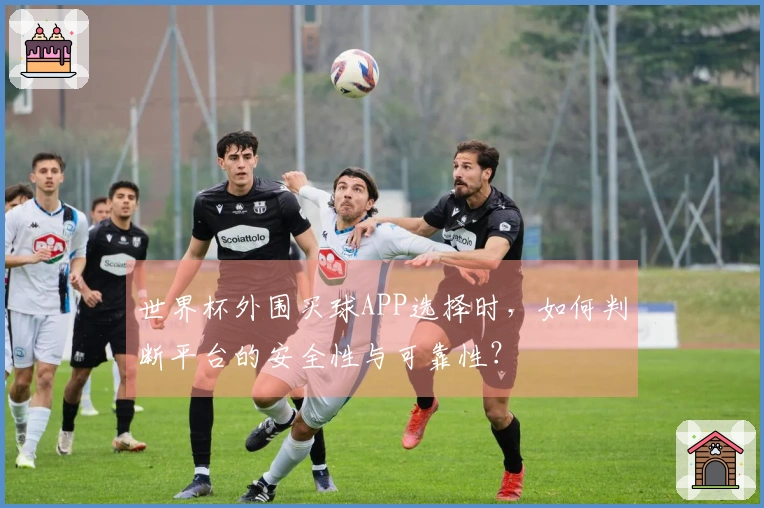 世界杯外围买球APP选择时,如何判断平台的安全性与可靠性?