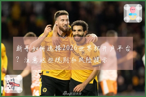 新手如何选择2026世界杯开户平台？注意这些规则和风险提示