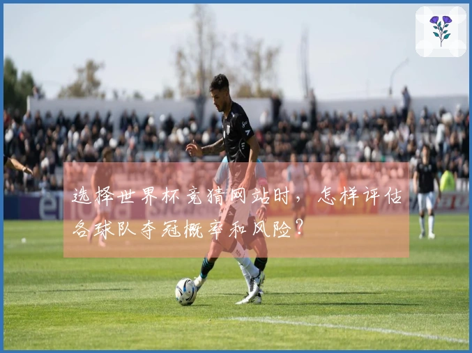 选择世界杯竞猜网站时,怎样评估各球队夺冠概率和风险?