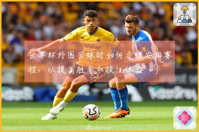 世界杯外围买球时如何合理安排赛程，以提高胜率和投注体验
